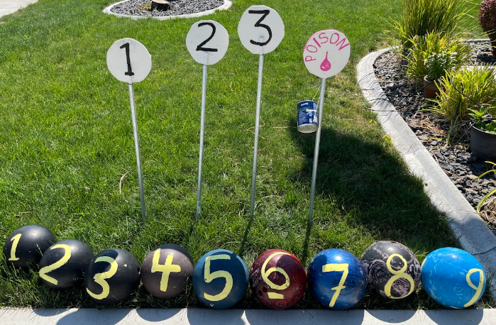 The four Bola targets — 1, 2, 3, and Poison — on pipes in a row, with numbered bolas lined up on the grass in front.